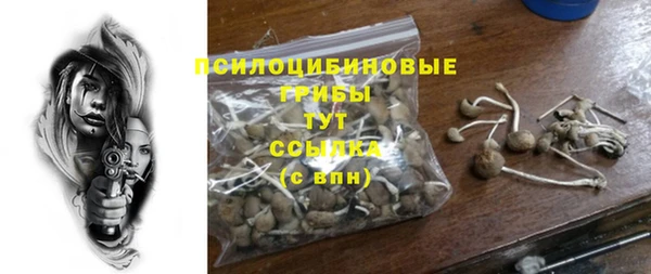 PSILOCYBIN Белоозёрский